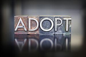 julia cain adoption attorney rittman ohio